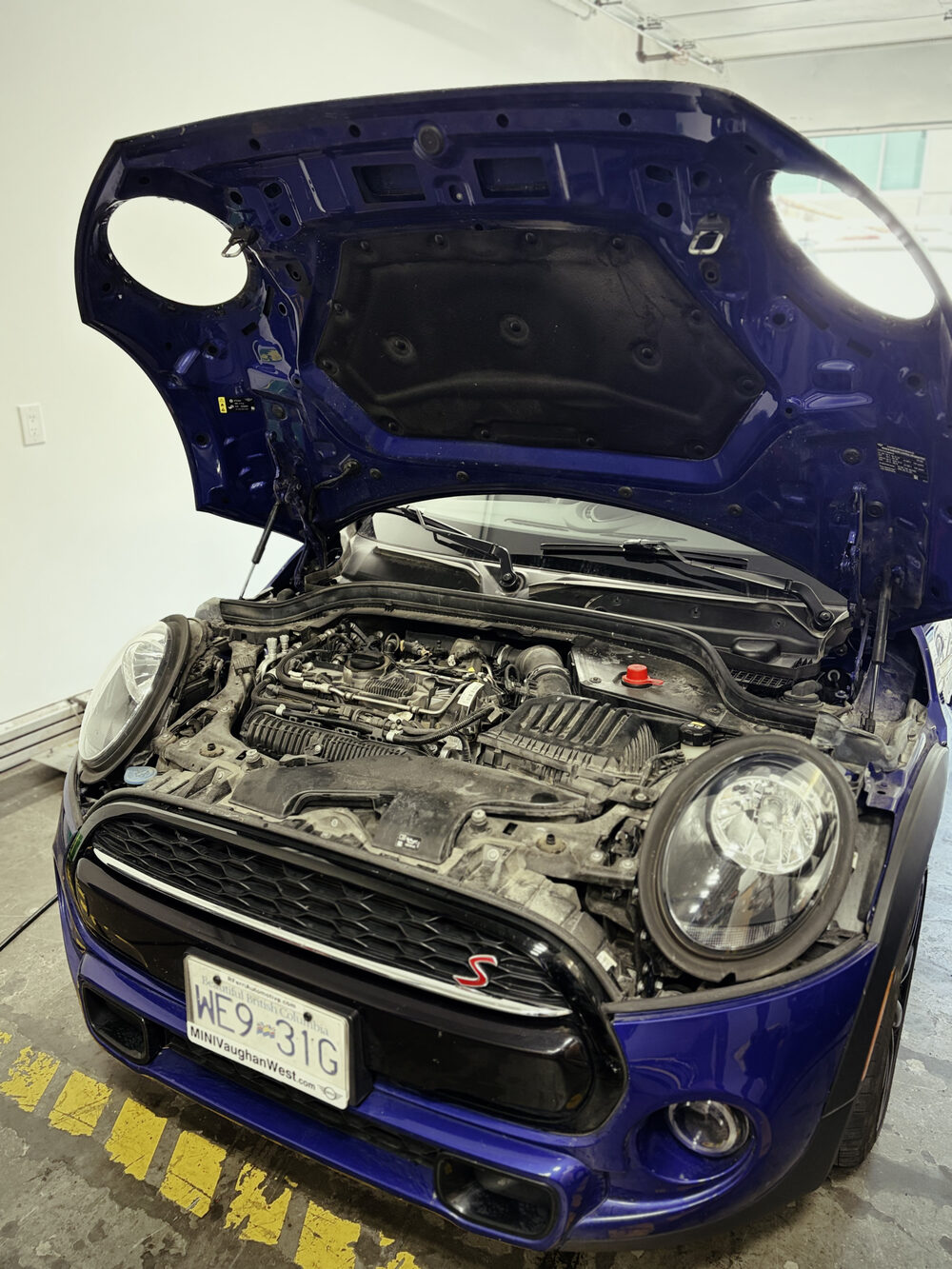 Recent BMW/MINI work